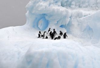 南极挖人，年薪高达近百万