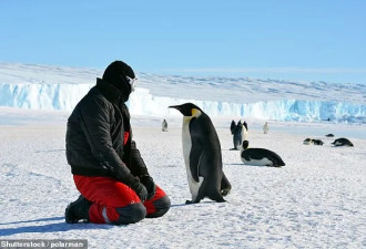 南极挖人，年薪高达近百万