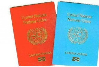 拥联合国护照的华人只有马云李连杰?