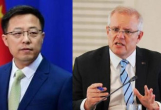 中国拒道歉 战狼画手再出新画挑衅澳总理