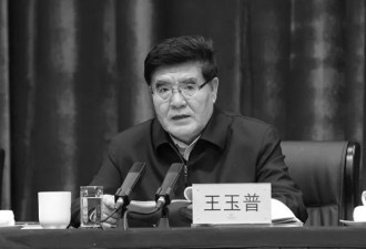 中国应急管理部部长王玉普逝世，享年64岁