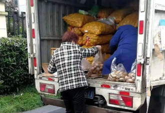 一个上海小区十四天吃掉了两吨土豆