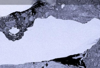 世界最大冰山或与岛屿相撞 引发生态危机