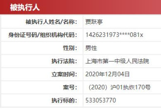 贾跃亭再成被执行人 执行标的约5.33亿元
