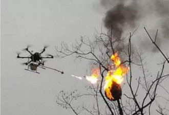 无人机改装成喷火器-销毁重庆11个蜂巢