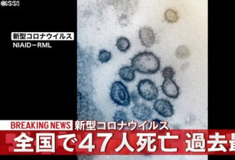 一个月翻三倍！日本医院频繁爆发集体感染