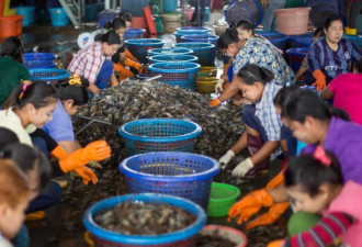 又是海鲜市场：泰国突爆新冠集中感染