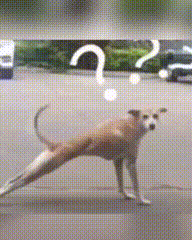 【爆笑】有的男人就是怎么都点不醒