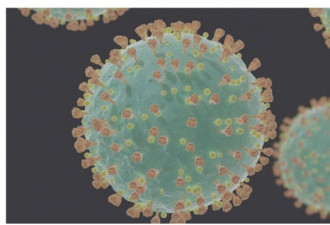 英病毒变异可能源自某长期慢性感染新冠患者