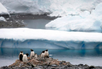 新冠病毒无处不在 地球的最后净土南极洲沦陷
