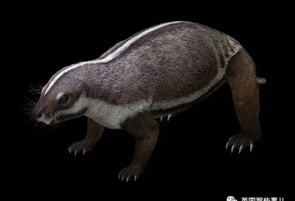 全新动物化石：上半身像狗 下半身像鳄鱼
