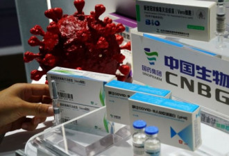 疫苗接种全球赛跑 中国怎么突然落后了？