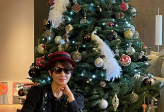 刘嘉玲豪宅内摆巨型圣诞树 价值200万