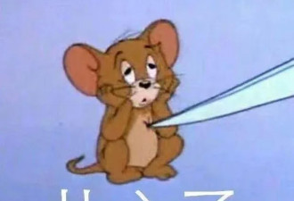 女朋友太可爱是种怎样的体验？哈哈哈学到了！