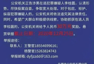 女黑老大:靠暴力催收起家 曾怀孕取保候审