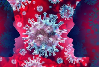 中疾控：中国没发现变异新冠病毒输入