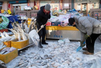 走进中国东方第一城 万物可冻的东极鱼市
