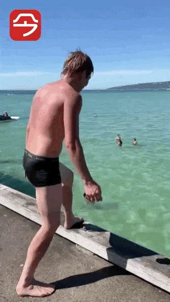 澳洲华人男子跳水不慎摔重伤 昏迷不醒