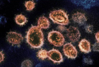 坏消息！变种新冠病毒在各个年龄层迅速传播