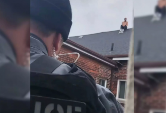 多伦多1天3奇案:嫌犯拒捕戴手铐在屋顶飞檐走壁