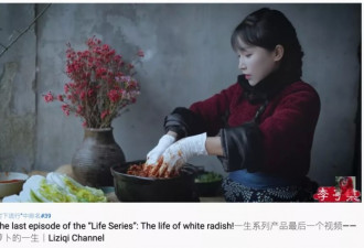 李子柒做泡菜被韩国网友围攻，谁给的你们脸？