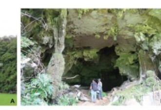 印尼发现最古老洞穴壁画 可溯至4万5500年前