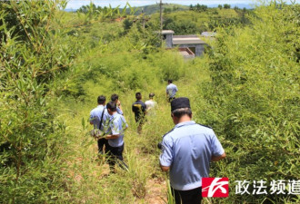 大快人心，湖南这地尘封24年的悬案破了