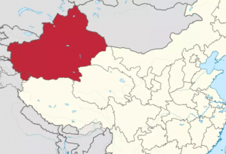 中国驻美使馆赞新疆妇女不再是生育机器遭轰