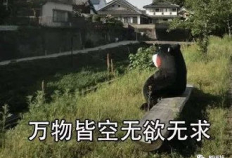 章子怡、周迅、刘嘉玲…电影咖为什么都演少女