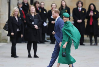 哈里王子请求出席英国国殇日 惨遭英女王秒打枪
