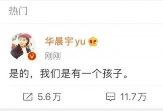 被无套性爱毁掉华晨宇、张碧晨生孩子真实内幕