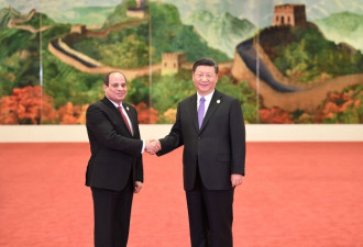 埃及总统：明天开始大规模接种中国疫苗
