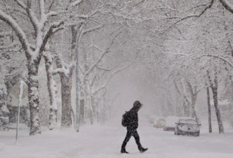 多伦多今日大雪下一整天