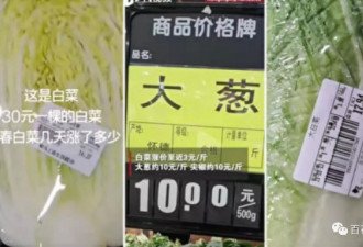 中国网民们怒斥菜价疯涨