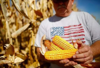 中国大批采购美国农产品，向拜登发出强烈信号