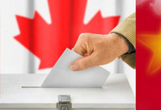 分析：2021年加拿大会举行联邦大选吗？