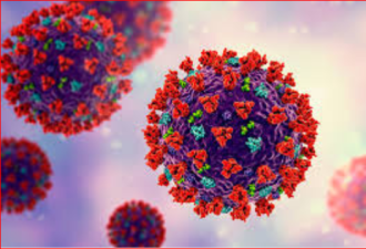 免疫系统至少能“记住”新冠病毒6个月