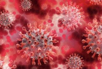 美科学家称变异病毒或遏制疫苗有效性