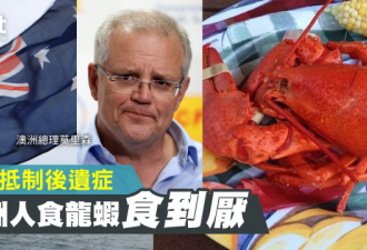 中国制裁澳洲龙虾 澳洲人自产自销吃到快吐了