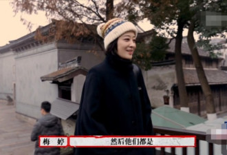 梅婷现身综艺节目 皮肤光滑状态似少女