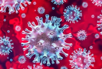 英国发现的新冠病毒变种再次发生突变