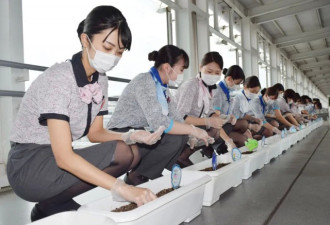 疫情把日本航空公司逼疯 网上卖飞机餐
