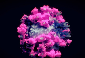 新冠病毒完整3D影像曝光 如一朵毛绒绒小花盛开