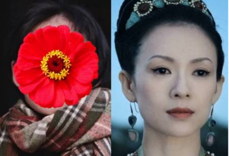 越南女模撞脸章子怡 《上阳赋》应找她演少女？