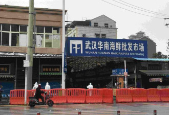 世卫专家进入冠状病毒首个病灶武汉华南市场