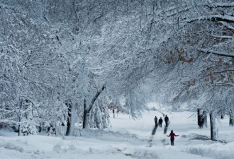多伦多将迎最冷天:-20°C+暴雪!加拿大罕见严寒