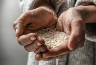 粮食自给率不到30% 广东快养不活自己？