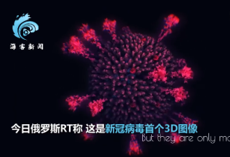 新冠病毒究竟长什么样？首个3D图像曝光