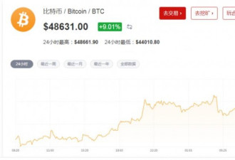 比特币升至49000美元 华尔街投行仍观望