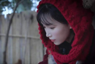 李子柒发中国年味视频，受外国粉丝热捧